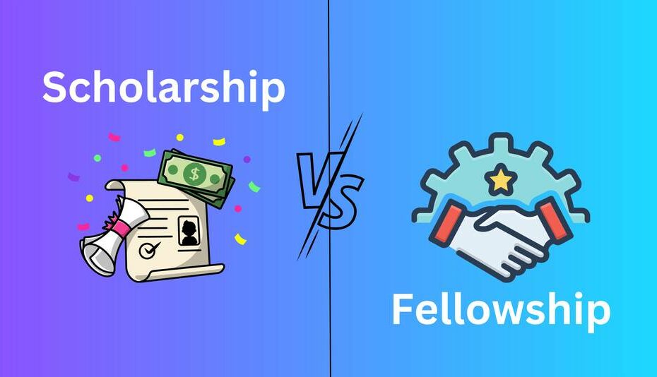 phd scholarship vs fellowship